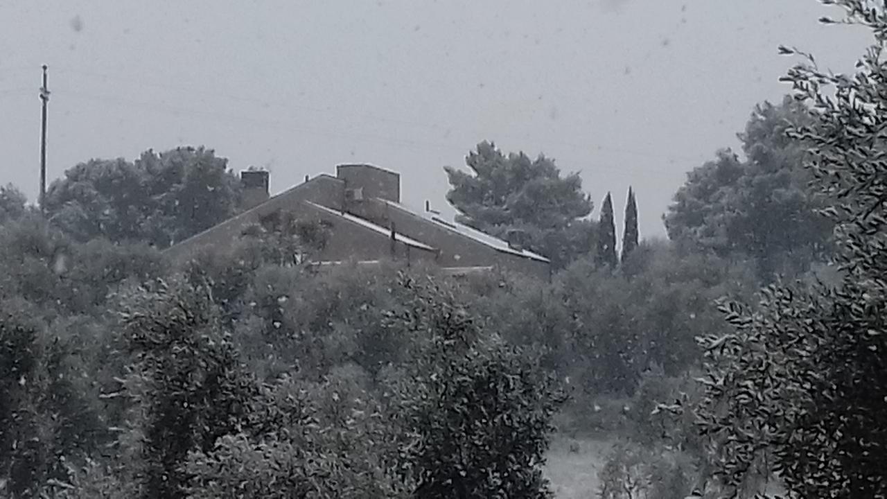 Residence Costamartino Vieste Dış mekan fotoğraf